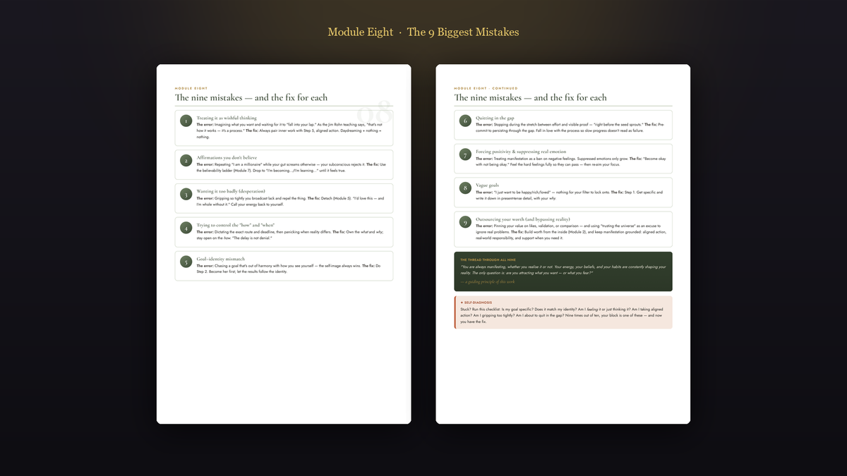 MAGNETIC — Module Eight, the 9 biggest mistakes